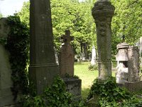 01-04 Damó Kálmán, Lisznyai